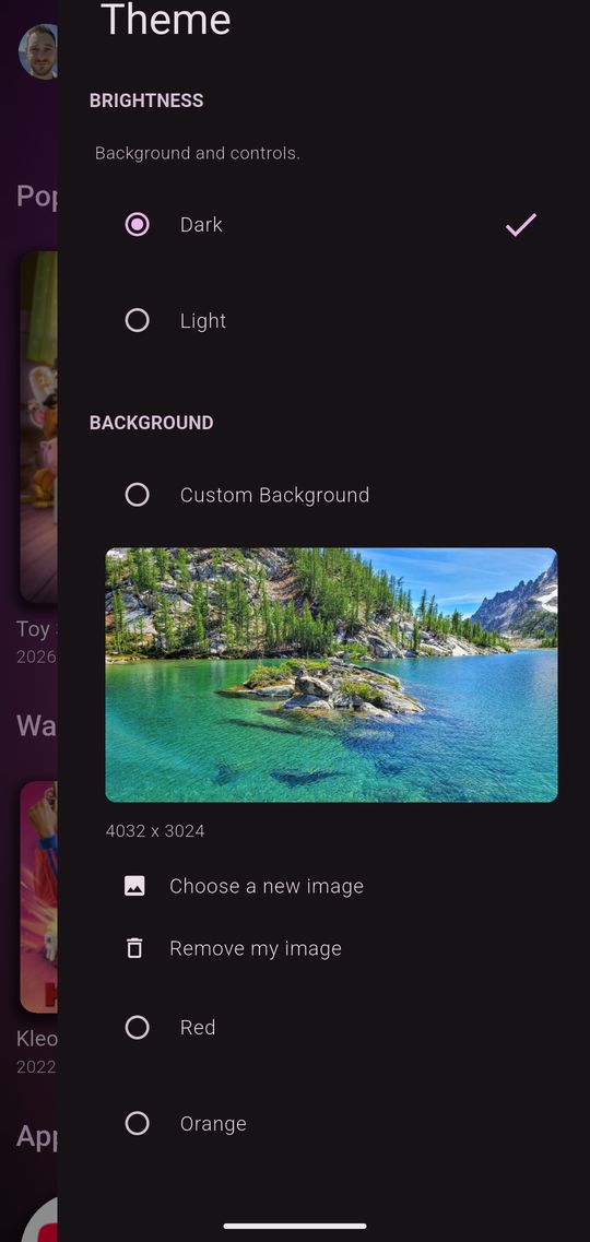Theme settings on a phone: brightness and a custom background photo